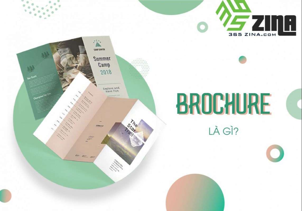 Broucher là gì - thiết kế Broucher 365zina