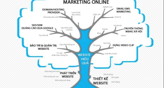 Bí quyết phát triển website hiệu quả 365zina