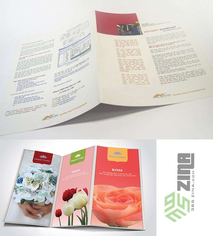 mẫu thiết kế tờ rơi đẹp 365zina