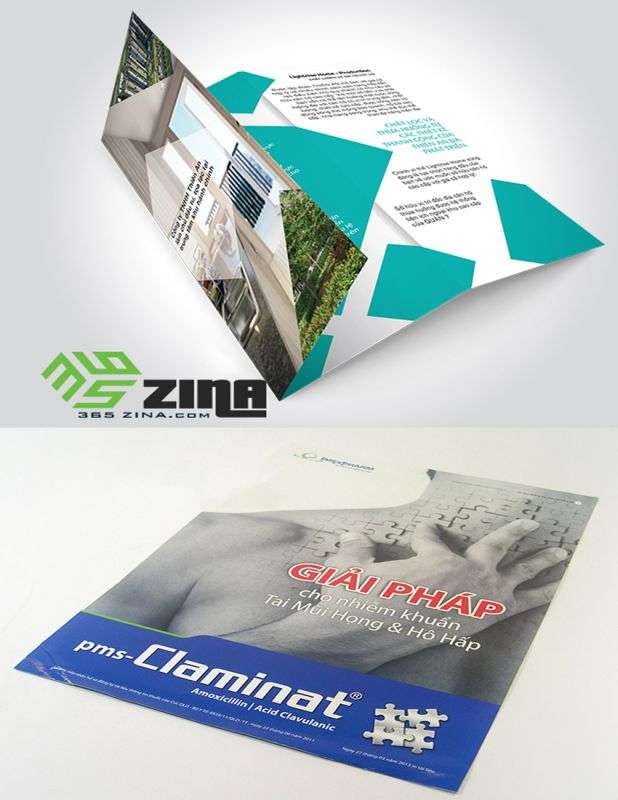 mẫu thiết kế tờ rơi đẹp 365zina