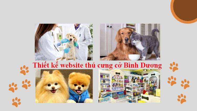 Thiết kế website thú cưng khu vực Bình Dương