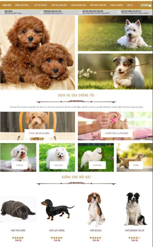 thiết kế website thú cưngtại quận Phú Nhuận chuyên nghiệp