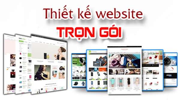 Dịch vụ thiết kế website trọn gói giá rẻ 365zina